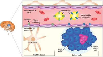 Targeted Nanotechnology in Glioblastoma Multiforme